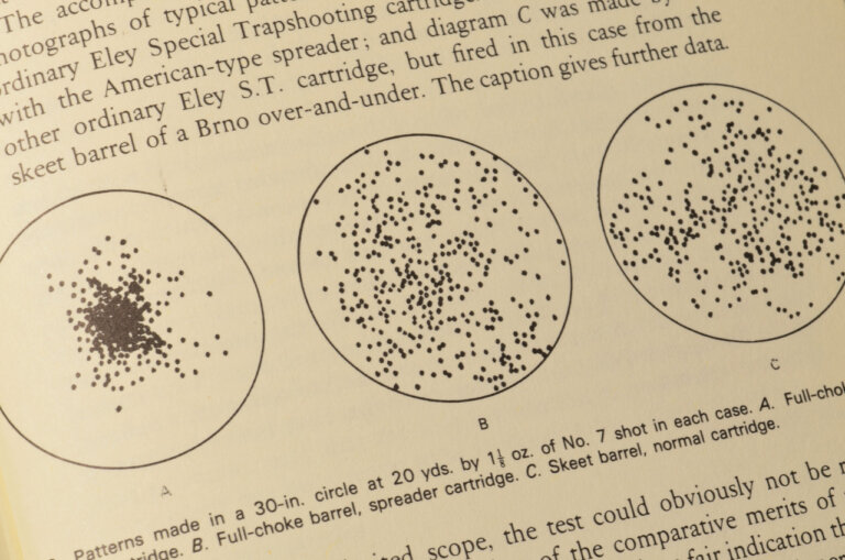 DSC_6285-2529431354-768x509 image